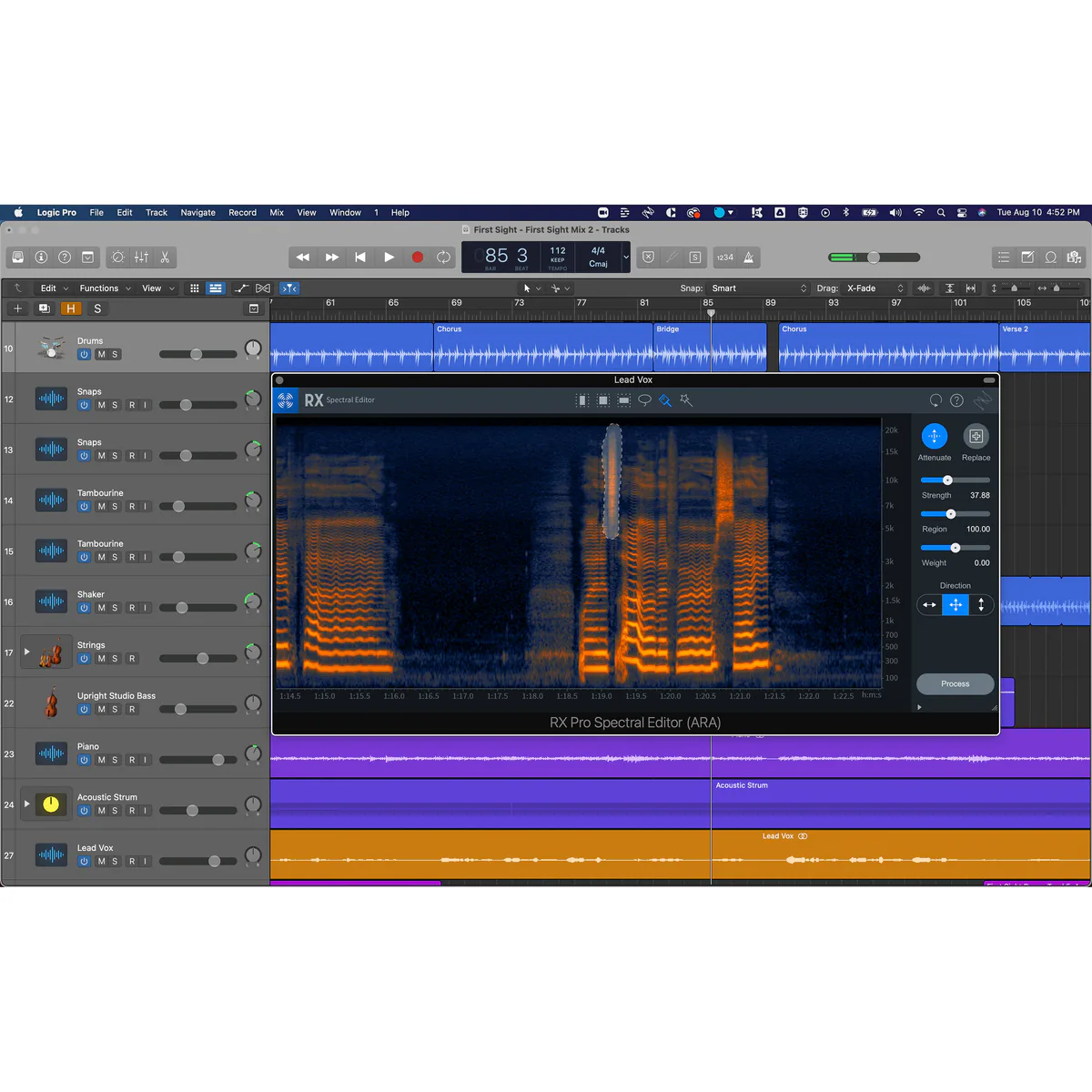 iZotope RX (Standard)