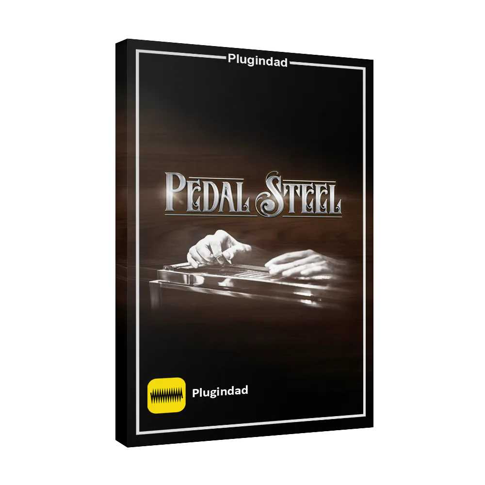 Pedal Steel